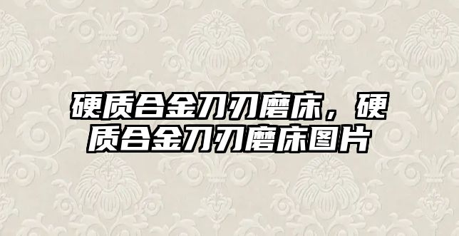 硬質(zhì)合金刀刃磨床，硬質(zhì)合金刀刃磨床圖片