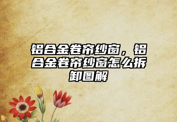 鋁合金卷簾紗窗，鋁合金卷簾紗窗怎么拆卸圖解