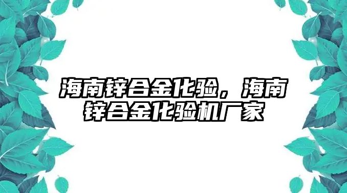 海南鋅合金化驗，海南鋅合金化驗機廠家