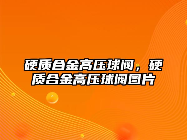 硬質(zhì)合金高壓球閥，硬質(zhì)合金高壓球閥圖片