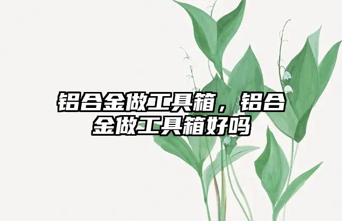 鋁合金做工具箱，鋁合金做工具箱好嗎