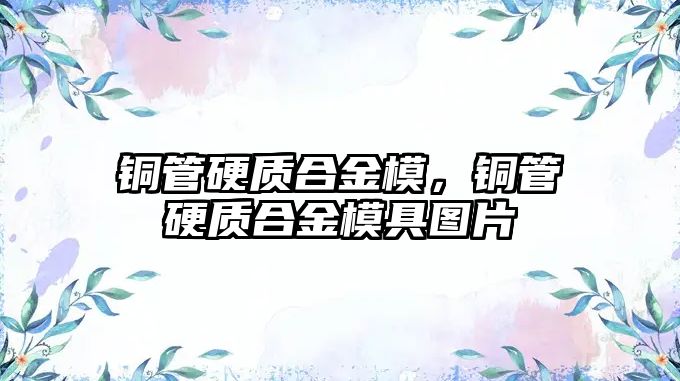 銅管硬質(zhì)合金模，銅管硬質(zhì)合金模具圖片