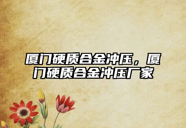 廈門硬質(zhì)合金沖壓，廈門硬質(zhì)合金沖壓廠家