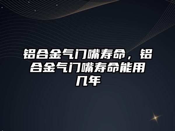 鋁合金氣門嘴壽命，鋁合金氣門嘴壽命能用幾年