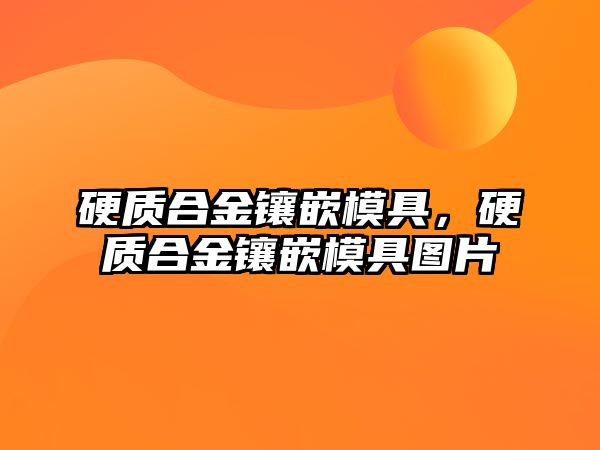 硬質(zhì)合金鑲嵌模具，硬質(zhì)合金鑲嵌模具圖片