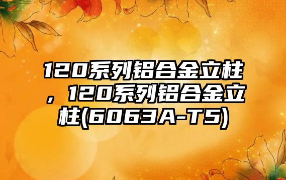 120系列鋁合金立柱，120系列鋁合金立柱(6063A-T5)