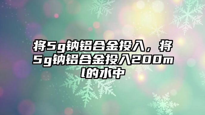 將5g鈉鋁合金投入，將5g鈉鋁合金投入200ml的水中