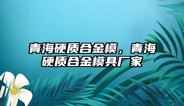 青海硬質(zhì)合金模，青海硬質(zhì)合金模具廠家