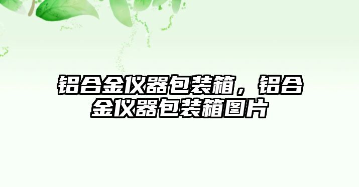 鋁合金儀器包裝箱，鋁合金儀器包裝箱圖片