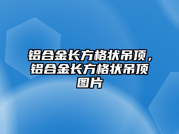 鋁合金長(zhǎng)方格狀吊頂，鋁合金長(zhǎng)方格狀吊頂圖片