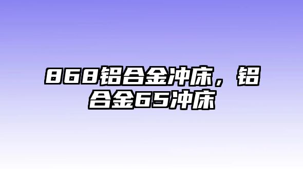 868鋁合金沖床，鋁合金65沖床