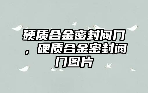 硬質合金密封閥門，硬質合金密封閥門圖片