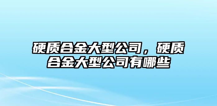 硬質(zhì)合金大型公司，硬質(zhì)合金大型公司有哪些