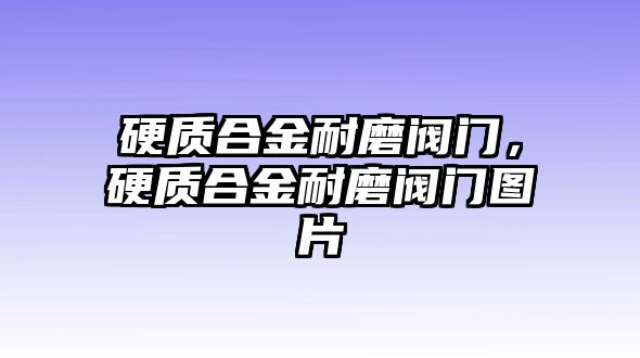 硬質(zhì)合金耐磨閥門，硬質(zhì)合金耐磨閥門圖片