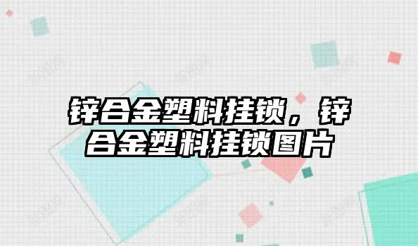 鋅合金塑料掛鎖，鋅合金塑料掛鎖圖片