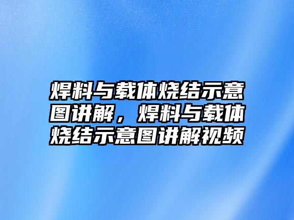 焊料與載體燒結(jié)示意圖講解，焊料與載體燒結(jié)示意圖講解視頻