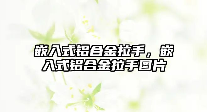 嵌入式鋁合金拉手，嵌入式鋁合金拉手圖片