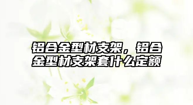 鋁合金型材支架，鋁合金型材支架套什么定額