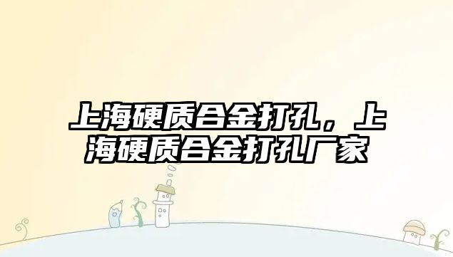 上海硬質合金打孔，上海硬質合金打孔廠家