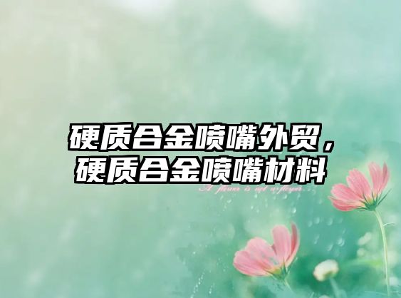 硬質(zhì)合金噴嘴外貿(mào)，硬質(zhì)合金噴嘴材料