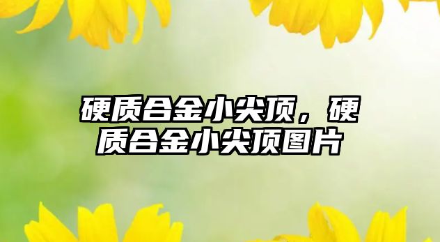 硬質合金小尖頂，硬質合金小尖頂圖片