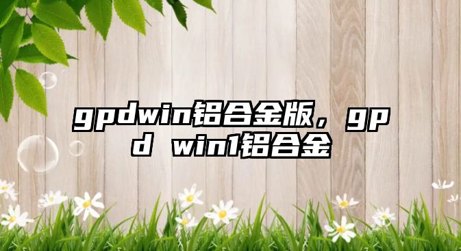 gpdwin鋁合金版，gpd win1鋁合金