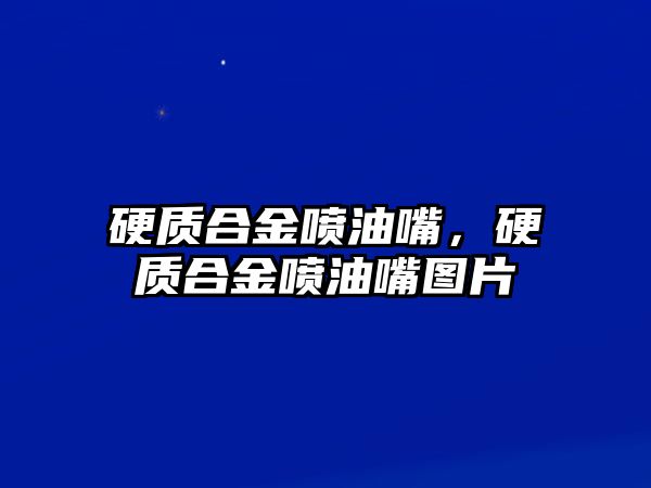 硬質(zhì)合金噴油嘴，硬質(zhì)合金噴油嘴圖片