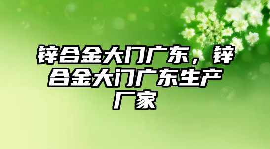 鋅合金大門廣東，鋅合金大門廣東生產廠家