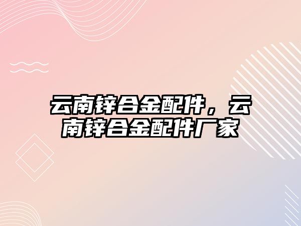 云南鋅合金配件，云南鋅合金配件廠家