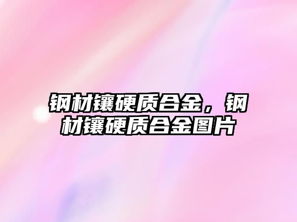 鋼材鑲硬質合金，鋼材鑲硬質合金圖片