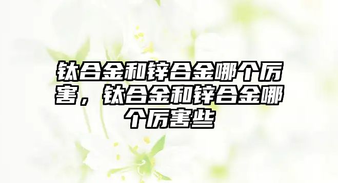 鈦合金和鋅合金哪個厲害，鈦合金和鋅合金哪個厲害些