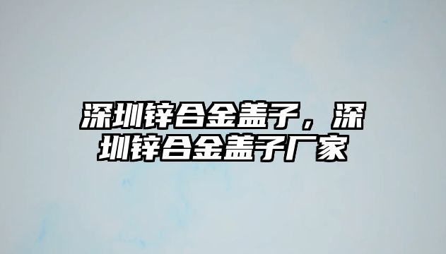 深圳鋅合金蓋子，深圳鋅合金蓋子廠家