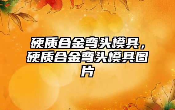 硬質(zhì)合金彎頭模具，硬質(zhì)合金彎頭模具圖片