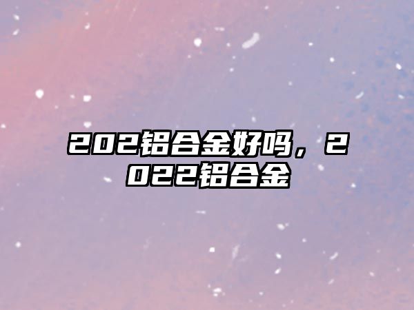 202鋁合金好嗎，2022鋁合金