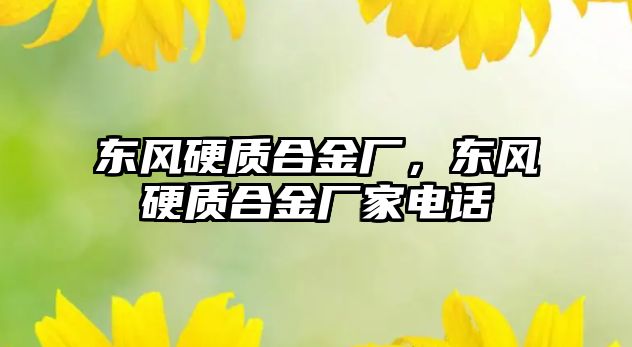 東風硬質(zhì)合金廠，東風硬質(zhì)合金廠家電話