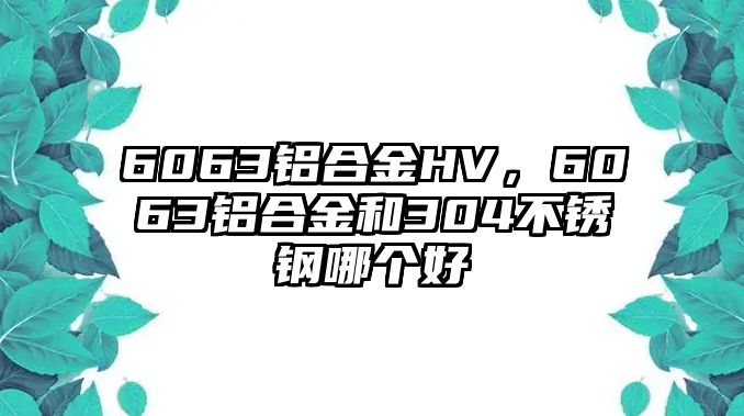 6063鋁合金HV，6063鋁合金和304不銹鋼哪個好