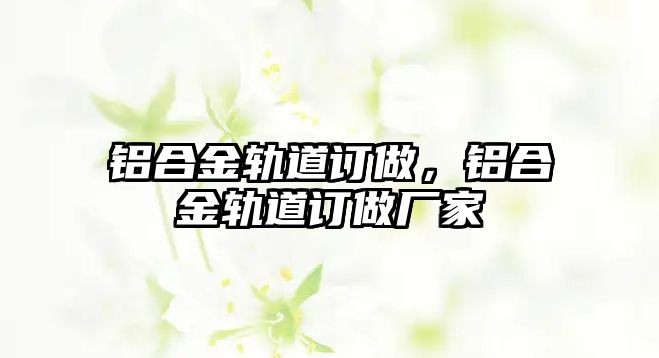 鋁合金軌道訂做，鋁合金軌道訂做廠家