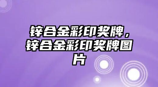 鋅合金彩印獎牌，鋅合金彩印獎牌圖片