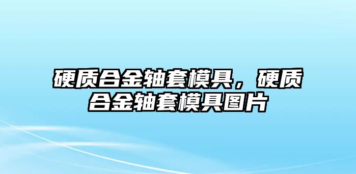 硬質合金軸套模具，硬質合金軸套模具圖片