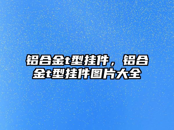 鋁合金t型掛件，鋁合金t型掛件圖片大全