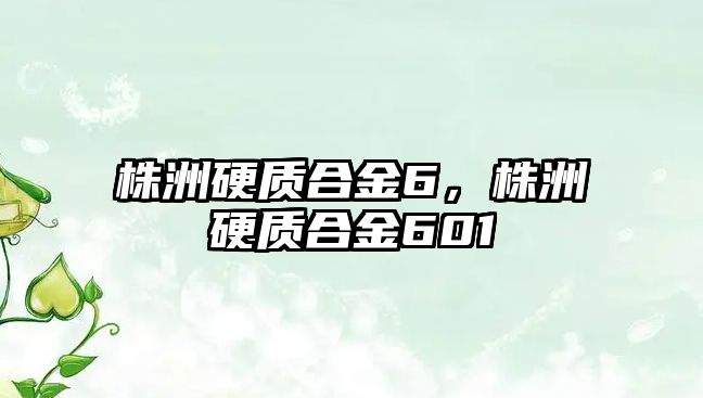 株洲硬質合金6，株洲硬質合金601