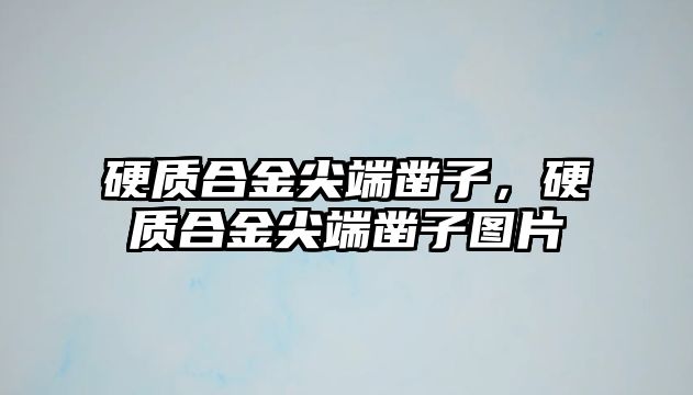 硬質(zhì)合金尖端鑿子，硬質(zhì)合金尖端鑿子圖片