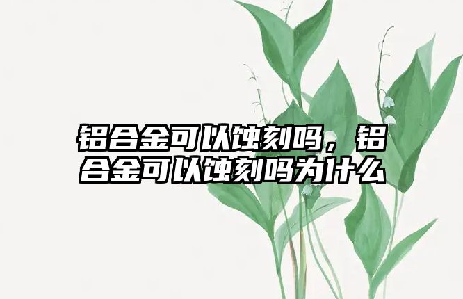 鋁合金可以蝕刻嗎，鋁合金可以蝕刻嗎為什么