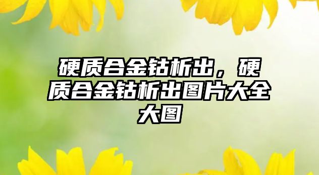 硬質(zhì)合金鈷析出，硬質(zhì)合金鈷析出圖片大全大圖