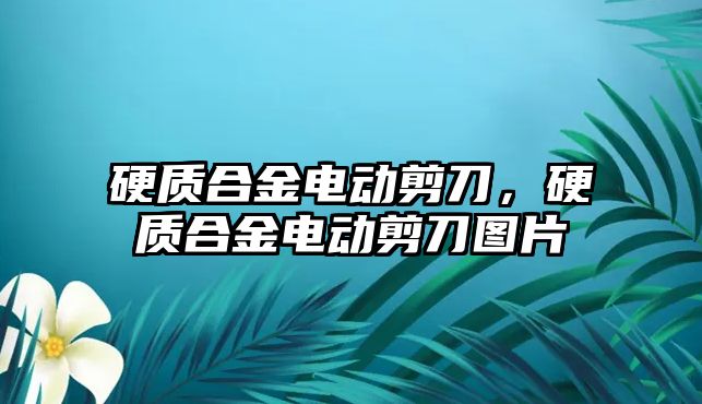 硬質(zhì)合金電動剪刀，硬質(zhì)合金電動剪刀圖片