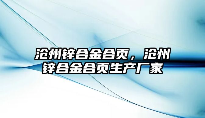 滄州鋅合金合頁，滄州鋅合金合頁生產廠家