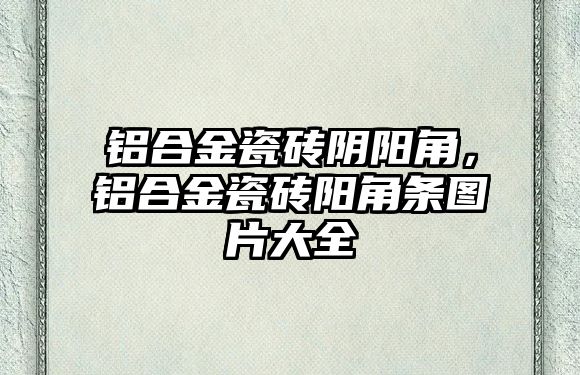 鋁合金瓷磚陰陽角，鋁合金瓷磚陽角條圖片大全