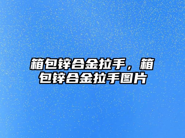 箱包鋅合金拉手，箱包鋅合金拉手圖片