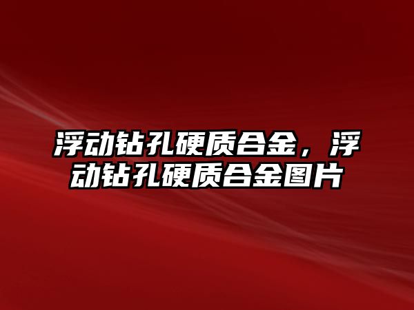 浮動鉆孔硬質合金，浮動鉆孔硬質合金圖片