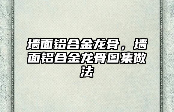 墻面鋁合金龍骨，墻面鋁合金龍骨圖集做法